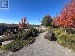 Chaudière Falls Walking Trail - 