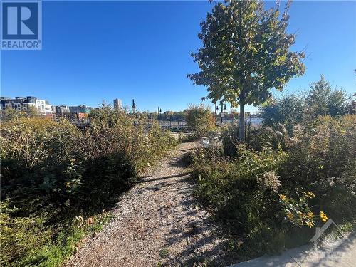 Chaudière Falls Walking Trail - 320 Miwate Private Unit#312, Ottawa, ON - Outdoor With View