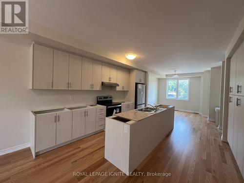 2100 Fairmont Common, Burlington, ON - Indoor Photo Showing Kitchen With Double Sink