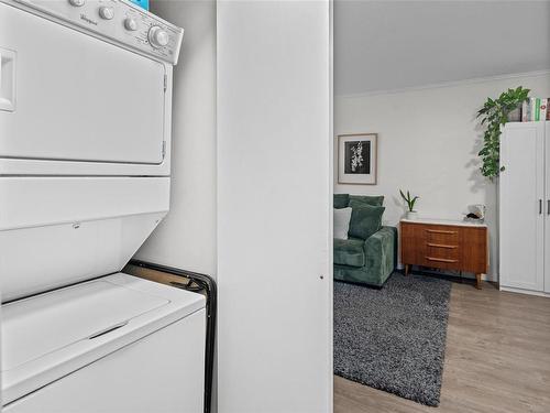 103-827 North Park St, Victoria, BC - Indoor Photo Showing Laundry Room