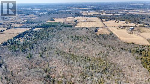 330 St Alban'S Road, Kawartha Lakes, ON - Outdoor With View