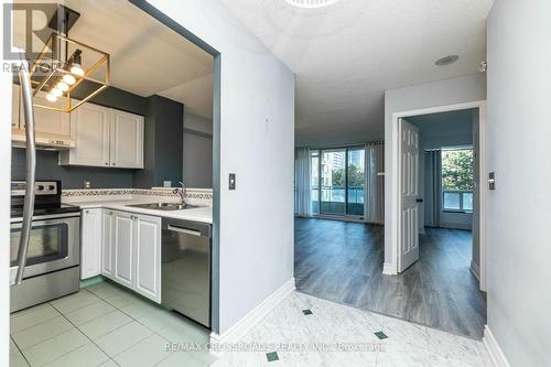 303 - 18 Pemberton Avenue, Toronto, ON - Indoor Photo Showing Kitchen With Double Sink