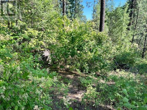 Lot 11 Evans Road, Creston, BC 