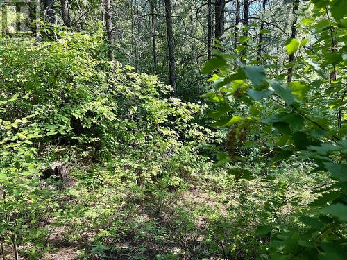 Lot 11 Evans Road, Creston, BC 