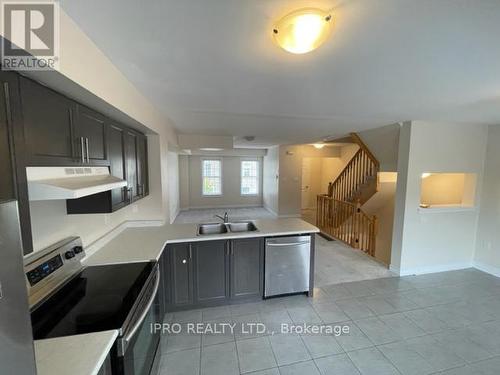 96 - 2280 Baronwood Drive N, Oakville, ON - Indoor Photo Showing Kitchen With Double Sink