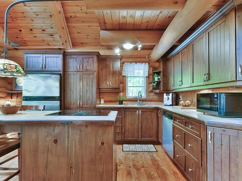 Cuisine - 732 Ch. De Kilkenny, Saint-Hippolyte, QC - Indoor Photo Showing Kitchen With Double Sink