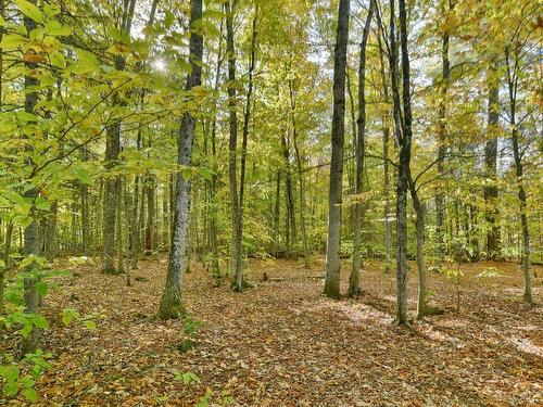 Vue d'ensemble - 732 Ch. De Kilkenny, Saint-Hippolyte, QC - Outdoor With View