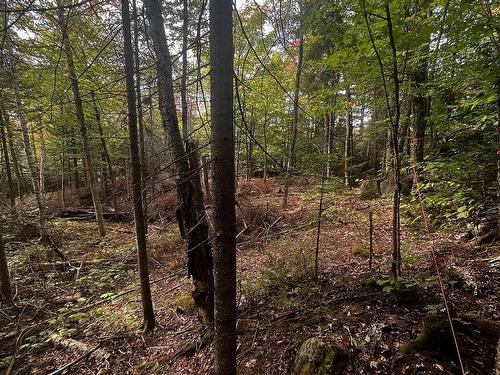 Land/Lot - Ch. De Chertsey, Sainte-Marguerite-Du-Lac-Masson, QC 