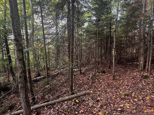 Land/Lot - Ch. De Chertsey, Sainte-Marguerite-Du-Lac-Masson, QC 