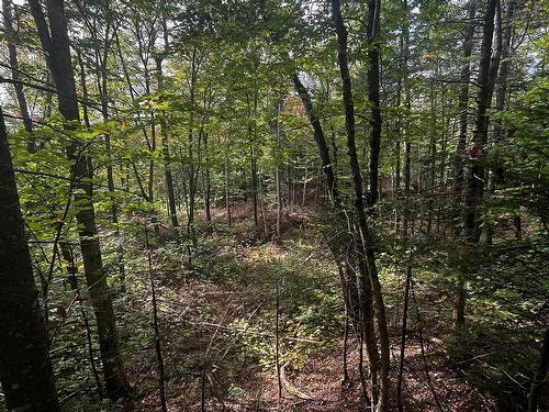 Land/Lot - Ch. De Chertsey, Sainte-Marguerite-Du-Lac-Masson, QC 