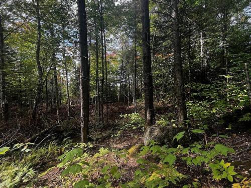 Land/Lot - Ch. De Chertsey, Sainte-Marguerite-Du-Lac-Masson, QC 