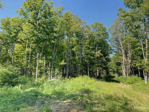 Land/Lot - 34 Ch. Mcdavid, Matapédia, QC - Outdoor