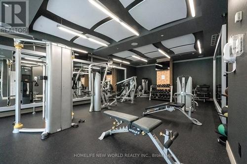 1002 - 18 Graydon Hall Drive, Toronto, ON - Indoor Photo Showing Gym Room