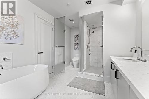 102 - 36 Birch Avenue, Toronto, ON - Indoor Photo Showing Bathroom