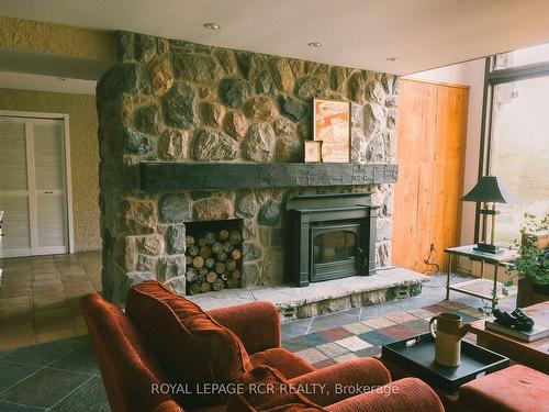 793493 Third Line, Mono, ON - Indoor Photo Showing Living Room With Fireplace