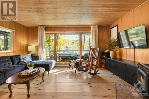 2255 B Calabogie Road, Burnstown, ON - Indoor Photo Showing Living Room