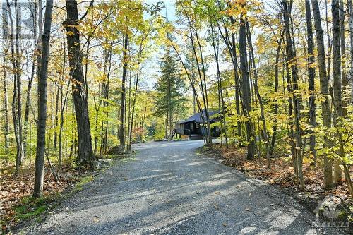 2255 B Calabogie Road, Burnstown, ON - Outdoor