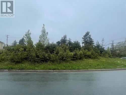 2-8 Lot A Dawson'S Run Unit#A, Conception Bay South, NL 