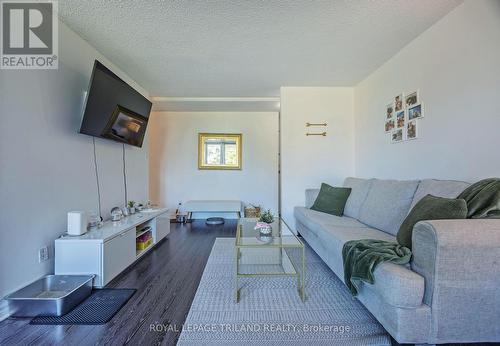 201 - 1105 Jalna Boulevard, London, ON - Indoor Photo Showing Living Room