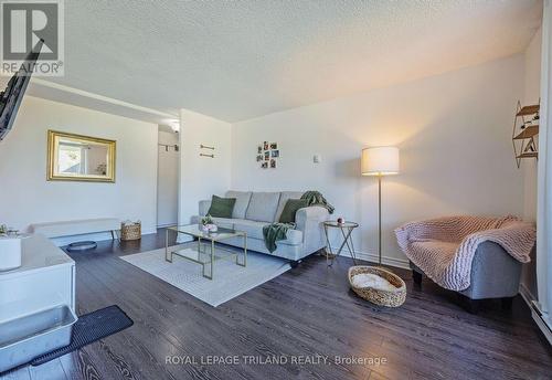 201 - 1105 Jalna Boulevard, London, ON - Indoor Photo Showing Living Room