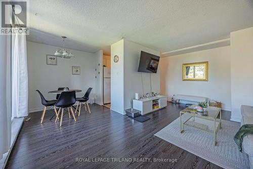 201 - 1105 Jalna Boulevard, London, ON - Indoor Photo Showing Living Room