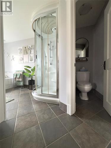 189 Nicholsville Road, Deer Lake, NL - Indoor Photo Showing Bathroom