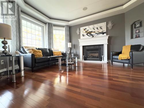 189 Nicholsville Road, Deer Lake, NL - Indoor Photo Showing Living Room With Fireplace