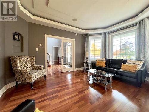 189 Nicholsville Road, Deer Lake, NL - Indoor Photo Showing Living Room