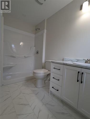 1 Temple Avenue, Appleton, NL - Indoor Photo Showing Bathroom