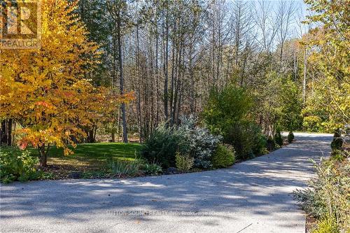 170 Lakeshore Road, Georgian Bluffs, ON - Outdoor With View