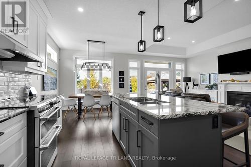 95 Brooker Trail, Thames Centre (Thorndale), ON - Indoor Photo Showing Kitchen With Double Sink With Upgraded Kitchen