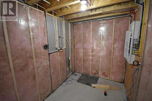 14 Pinetree Road, Conception Bay South, NL - Indoor Photo Showing Basement