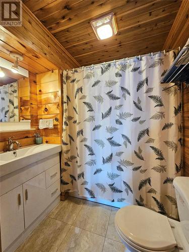 735 Lakeview Road, Spruce Brook, NL - Indoor Photo Showing Bathroom