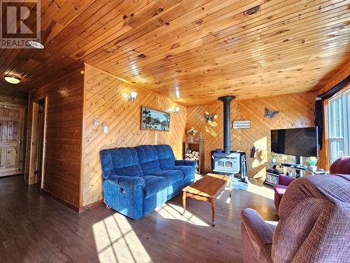 735 Lakeview Road, Spruce Brook, NL - Indoor Photo Showing Living Room With Fireplace