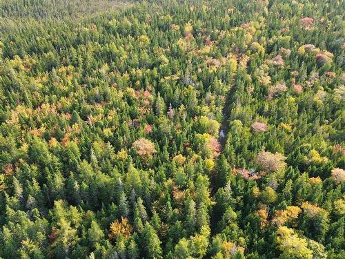 Scotch Road, Whiteside, NS 