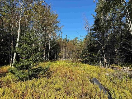 Scotch Road, Whiteside, NS 