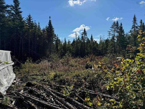 Scotch Road, Whiteside, NS 