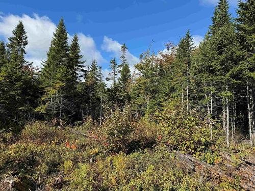 Scotch Road, Whiteside, NS 