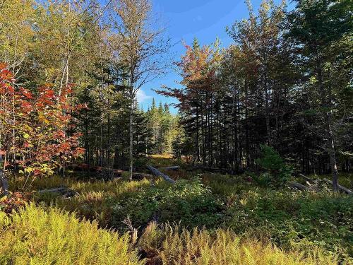 Scotch Road, Whiteside, NS 