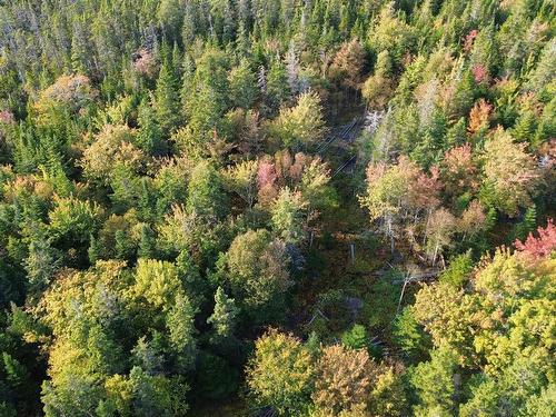 Scotch Road, Whiteside, NS 