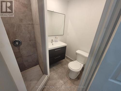 B2 - 221 River Street, Toronto, ON - Indoor Photo Showing Bathroom