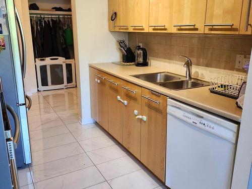 Cuisine - 144 Rue Landry, Saint-Eustache, QC - Indoor Photo Showing Kitchen With Double Sink