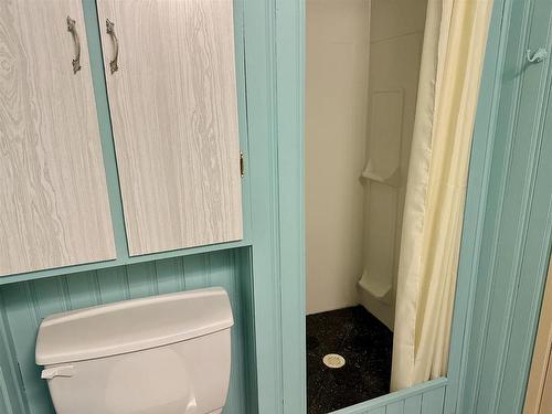 449 Parkwood Street, Thunder Bay, ON - Indoor Photo Showing Bathroom