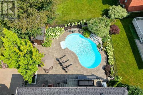 50 Direzze Court, Richmond Hill, ON - Outdoor With In Ground Pool