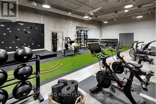 927 - 55 Stewart Street, Toronto, ON - Indoor Photo Showing Gym Room