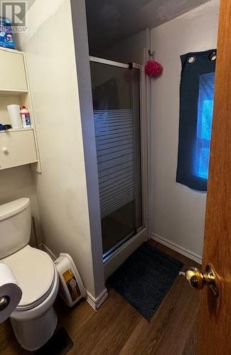 616 Lilac Street, Sudbury, ON - Indoor Photo Showing Bathroom