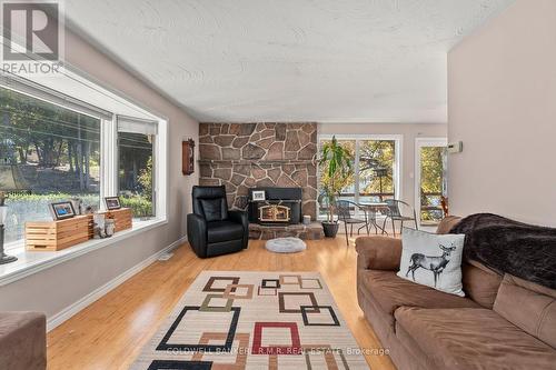 325 Lake Dalrymple Road, Kawartha Lakes, ON - Indoor Photo Showing Living Room With Fireplace