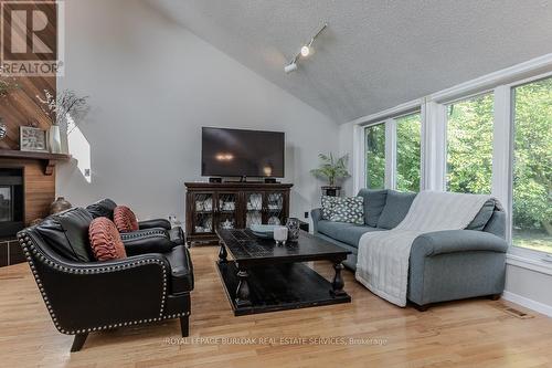 11 Weneil Drive, Hamilton, ON - Indoor Photo Showing Living Room With Fireplace