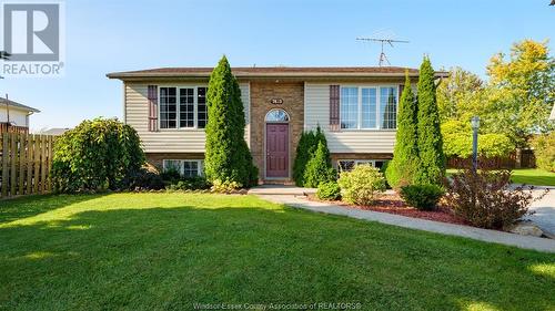 7423 Frank Court, Comber, ON - Outdoor