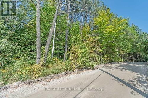 3358 Crescent Harbour Road, Innisfil, ON 